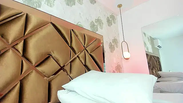 Alexa-Lynx webcam