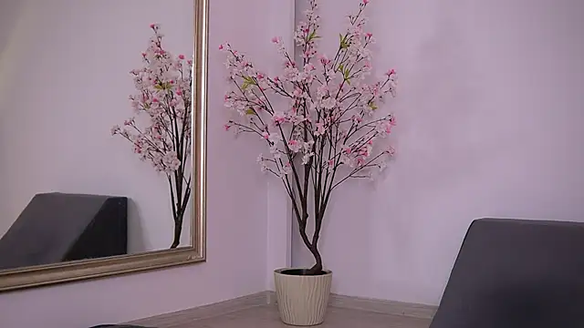 Abbela_White webcam