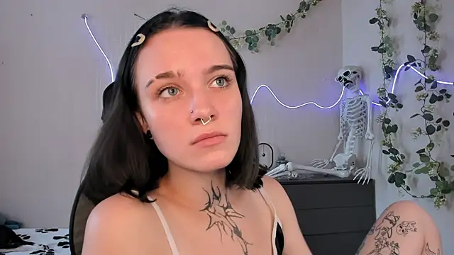 Elastikisss webcam