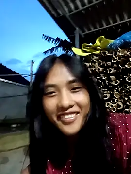 Hoa-tuylip webcam