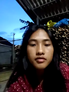 Hoa-tuylip webcam