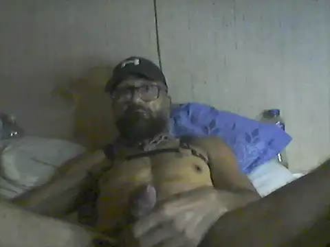 pigDany webcam