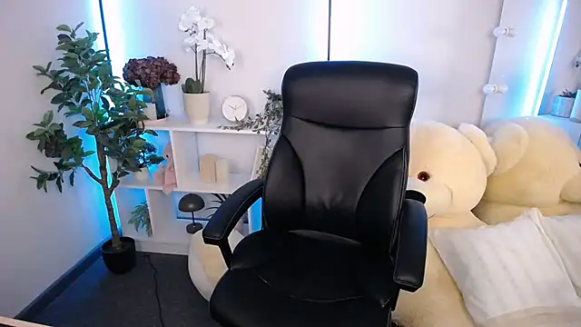 Ritaneer webcam