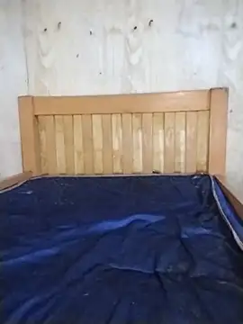 bigdick_5050
