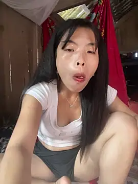 Hikomy- webcam