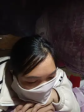 Hiha-nn webcam