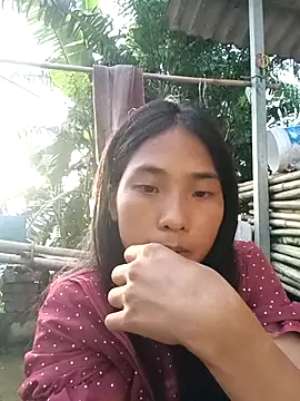 Hoa-tuylip