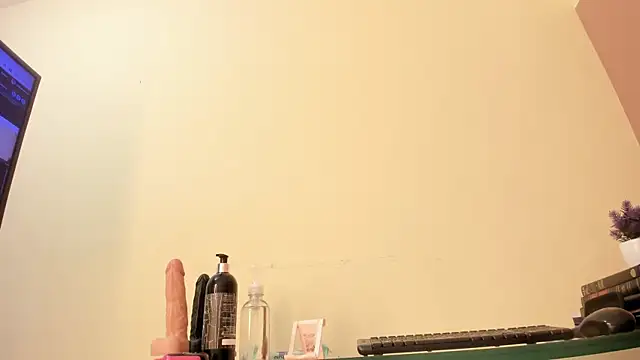 ElaineLaurent webcam