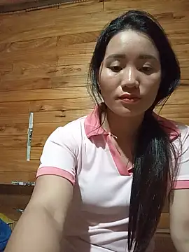 Td3di webcam