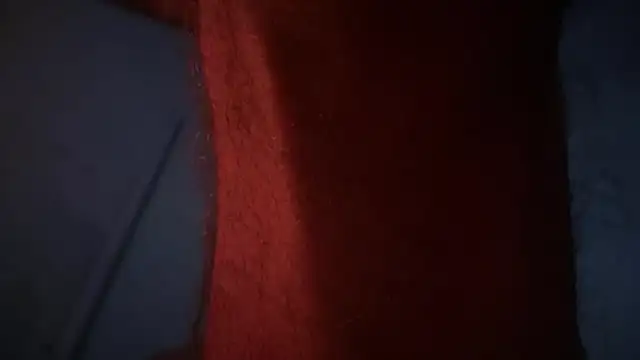 VersGuy7 webcam