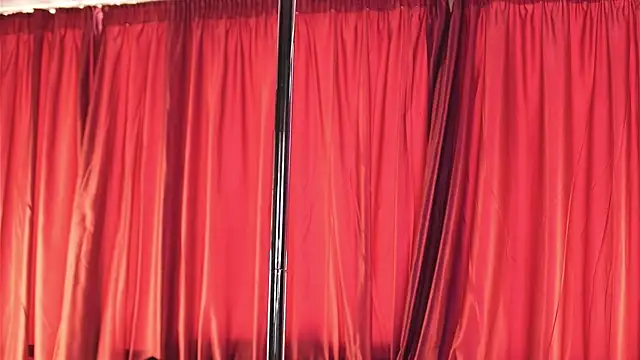 LuxenNoir webcam
