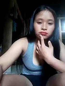 Liss-mimi webcam