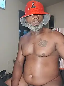 Tremainebigg webcam