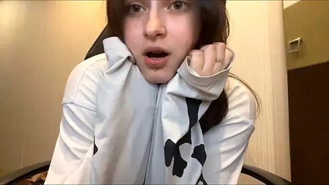 MnemonicSimplism webcam