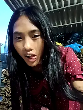 Hoa-tuylip webcam