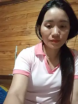 Td3di webcam