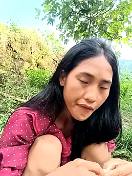 Hoa-tuylip webcam