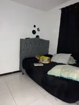 mitschellfox21 webcam