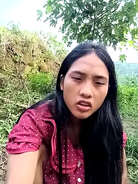 Hoa-tuylip