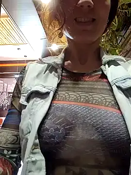 Exhibitionsplit webcam