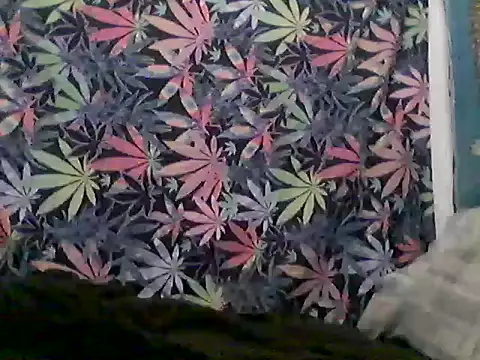 libraxxxstudios webcam