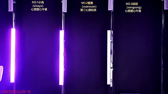 Xt-001 webcam