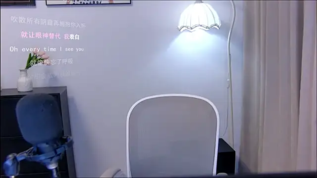 xiaomao-2026 webcam