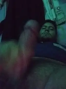 Fierrolay3000 webcam