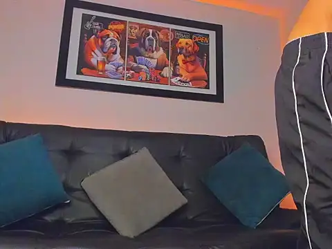 Master_Orioon webcam