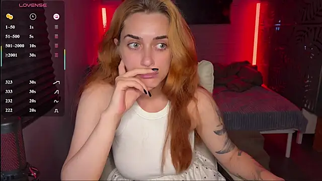 _dota2_ webcam