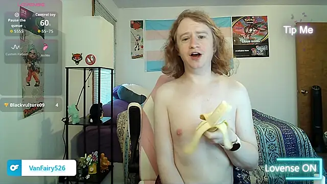 VanFairy526 webcam