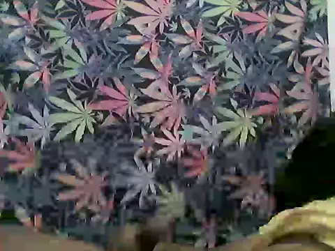 libraxxxstudios webcam