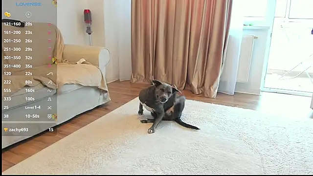 Anisefoxy webcam
