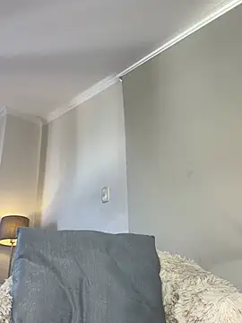 Samispank webcam