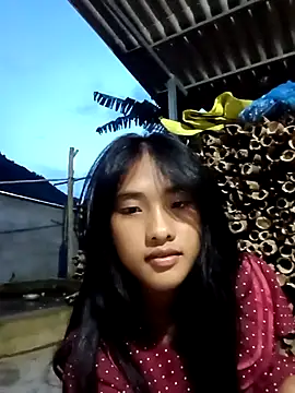 Hoa-tuylip