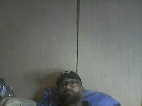 pigDany webcam
