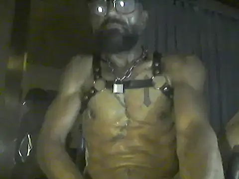 pigDany webcam