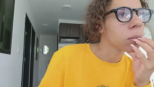 grey___27 webcam