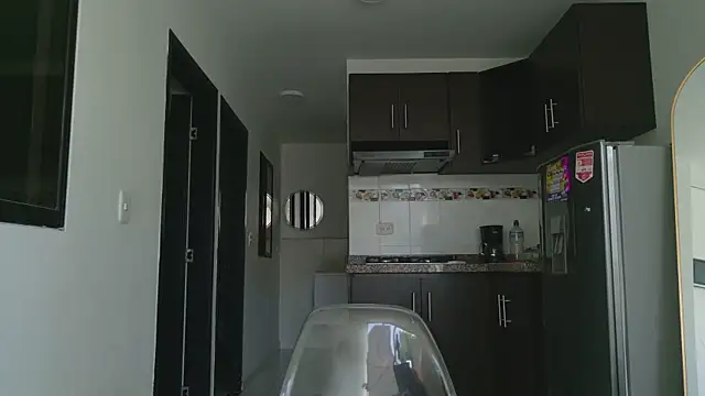 grey___27 webcam