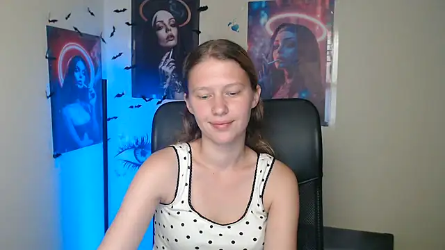 StellaCRL webcam