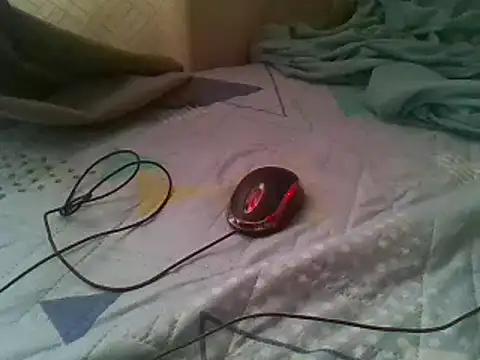 bbccol1 webcam