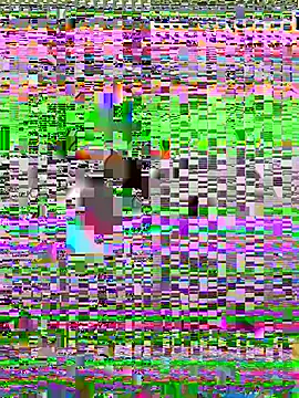 Talaxe_7 webcam