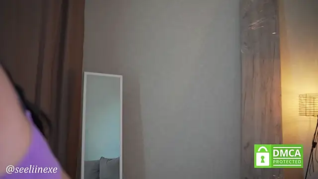 seeliinexe webcam