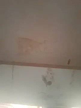 Your_Bunny255 webcam