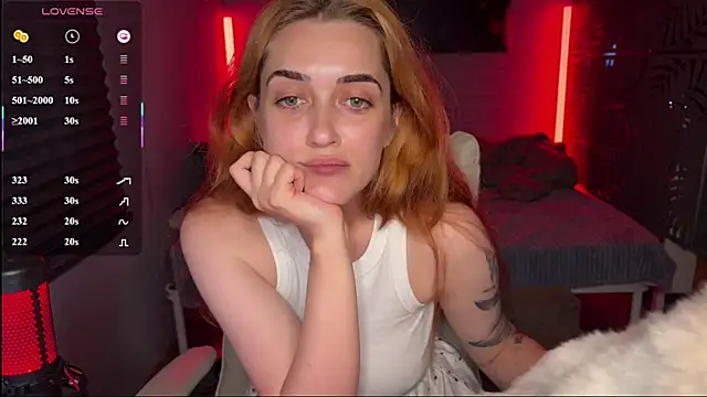 _dota2_ webcam