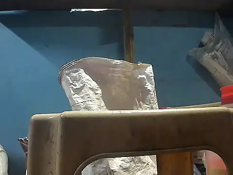 Precumking1 webcam
