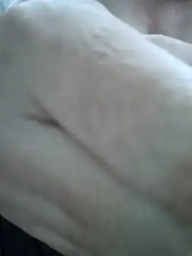 Sabina1967 webcam