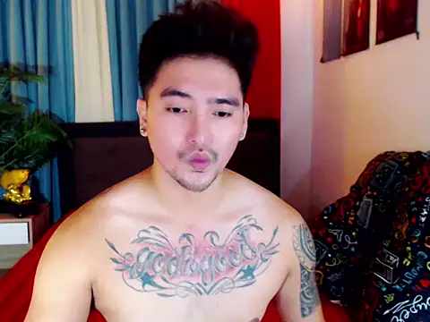 sinfulasher webcam