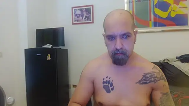 AMIRDIB2025 webcam