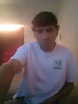wa379 webcam